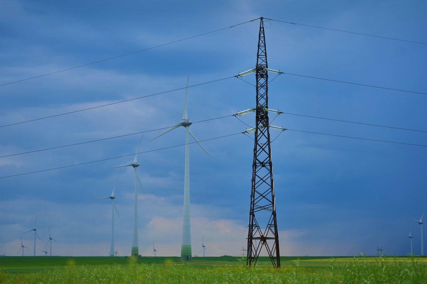 electripedia sustenabilitate 3